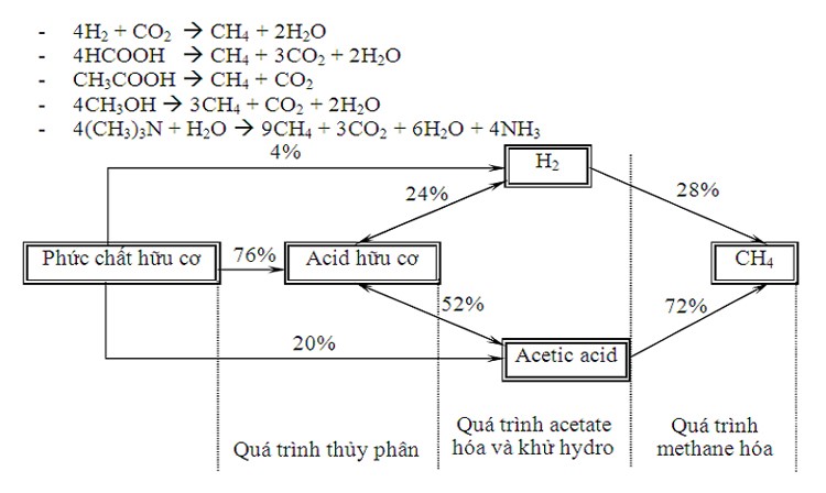 Quá trình xử lý nước thải bằng công nghệ UASB