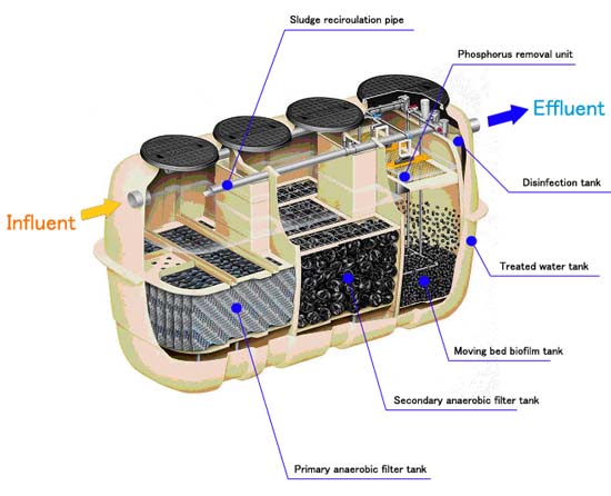 Cải tạo hệ thống xử lý nước thải với công nghệ vi sinh