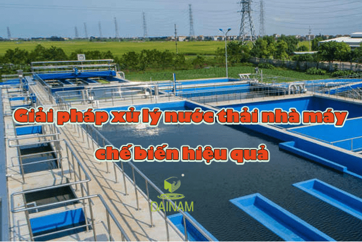 Giải pháp xử lý nước thải nhà máy chế biến hiệu quả