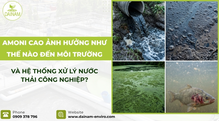 Amoni Cao Ảnh Hưởng Như Thế Nào Đến Môi Trường Và Hệ Thống Xử Lý Nước Thải Công Nghiệp?