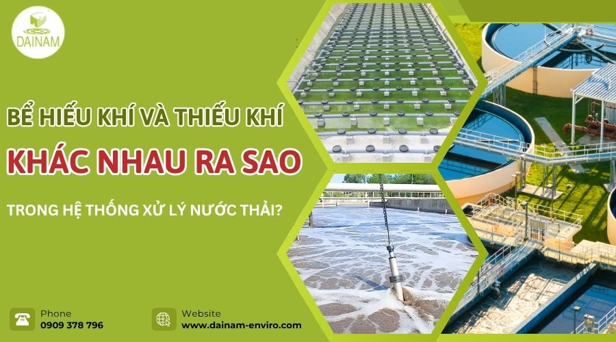 Bể Hiếu Khí Và Thiếu Khí Khác Nhau Ra Sao Trong Hệ Thống Xử Lý Nước Thải?