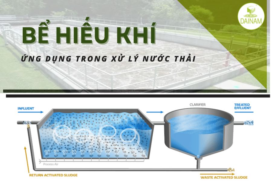 Bể Hiếu Khí Và Ứng Dụng Trong Xử Lý Nước Thải