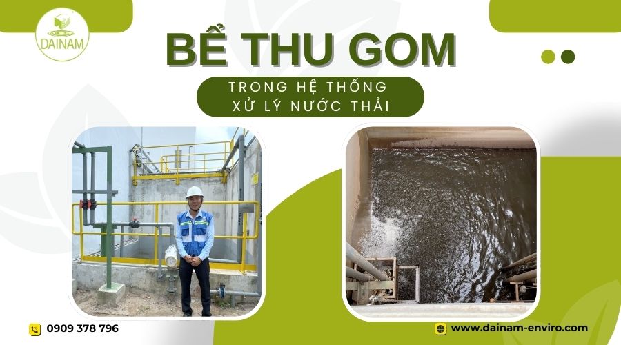 Bể Thu Gom: Công Dụng, Cấu Tạo Và Nguyên Lý Hoạt Động