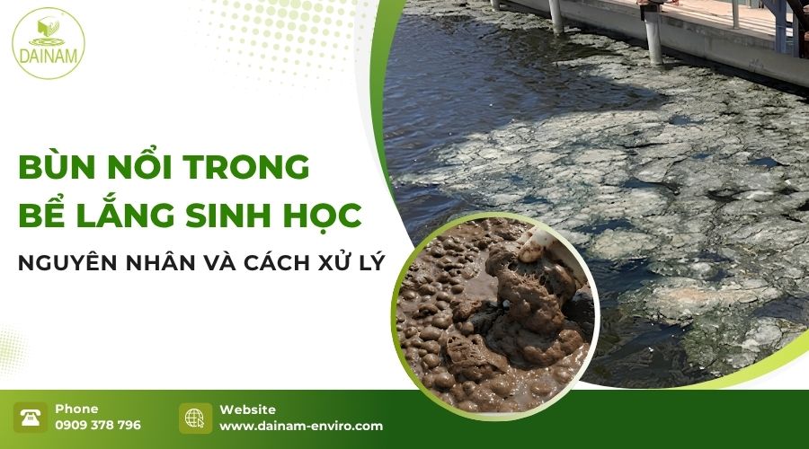 Bùn Nổi Trong Bể Lắng Sinh Học – Nguyên Nhân Và Cách Xử Lý