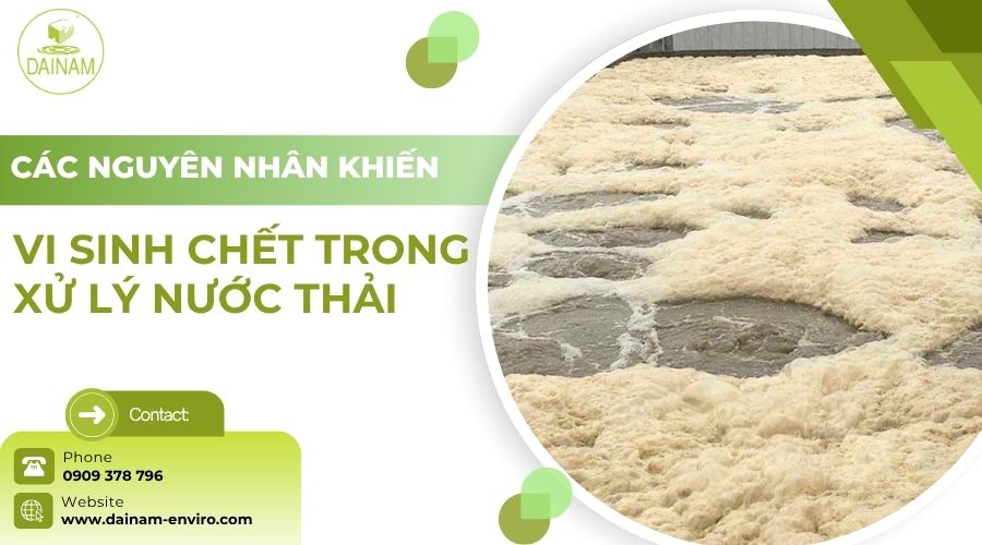 Causes of Microbial Death in Wastewater Treatment Systems and Solutions to Address The Problem