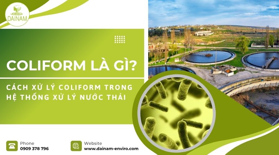 Coliform Là Gì? Cách Xử Lý Coliform Trong Hệ Thống Xử Lý Nước Thải