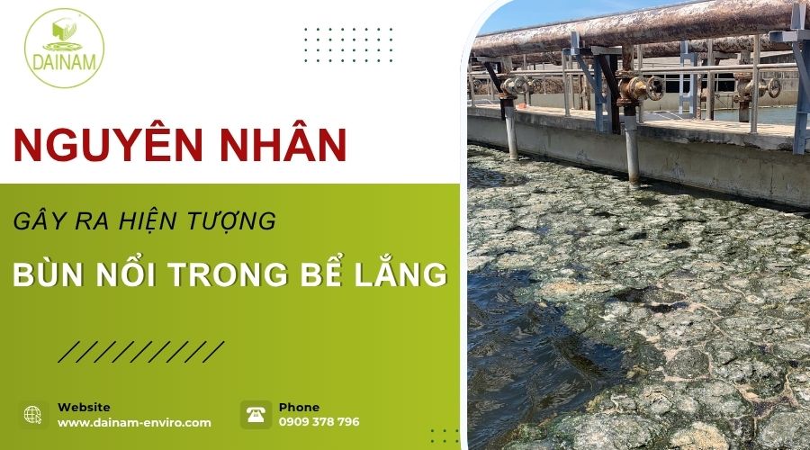 Nguyên Nhân Gây Ra Hiện Tượng Bùn Nổi Trong Bể Lắng
