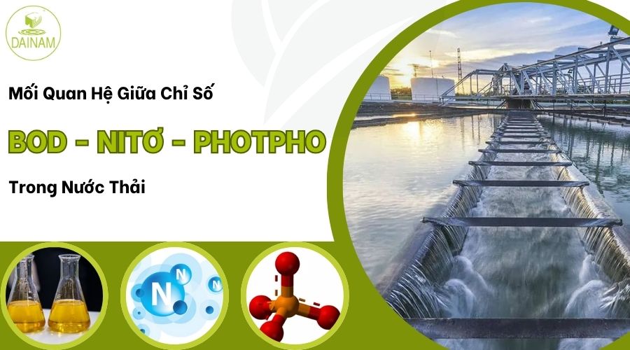 Mối Quan Hệ Giữa Chỉ Số BOD, Nitơ và Photpho Trong Nước Thải