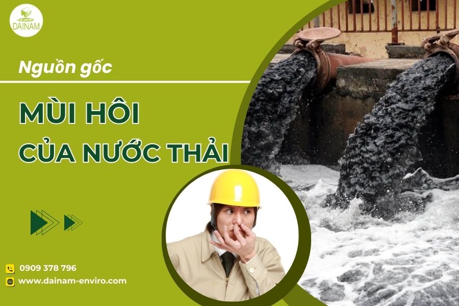 Nguồn Gốc Mùi Hôi Trong Nước Thải