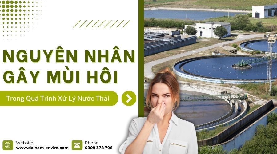 Nguyên Nhân Gây Mùi Hôi Trong Quá Trình Xử Lý Nước Thải