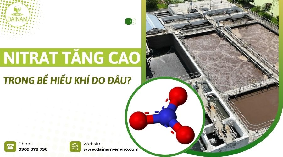 Nitrat Tăng Cao Trong Bể Hiếu Khí Do Đâu?