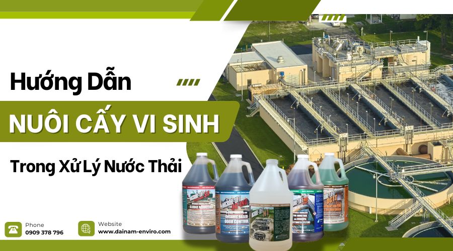 Hướng Dẫn Nuôi Cấy Vi Sinh Hiệu Quả Trong Xử Lý Nước Thải