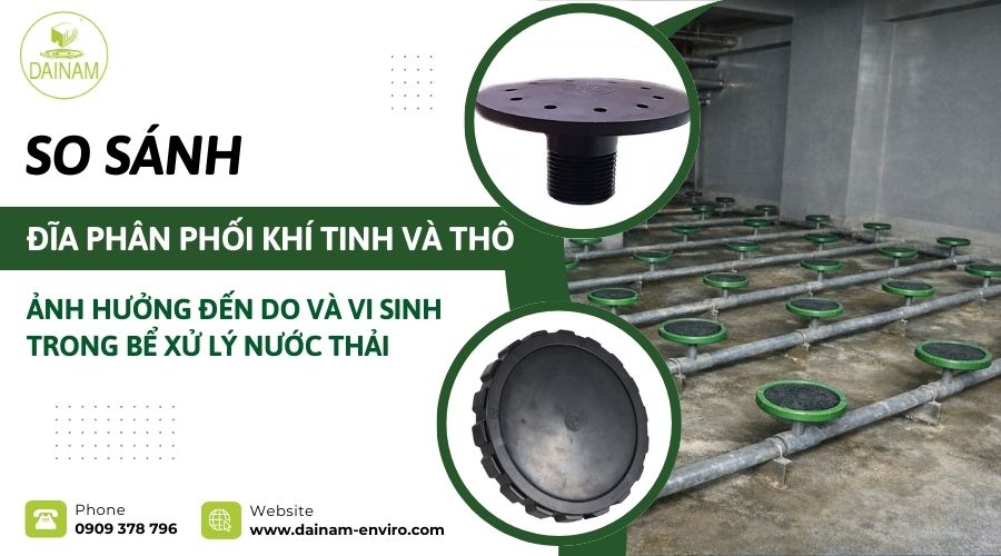 So Sánh Đĩa Phân Phối Khí Tinh Và Thô: Ảnh Hưởng Đến DO Và Vi Sinh Trong Bể Xử Lý Nước Thải