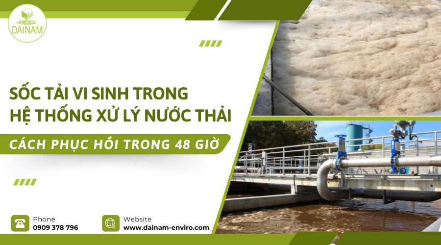 Sốc Tải Vi Sinh Trong Hệ Thống Xử Lý Nước Thải: Cách Phục Hồi Trong 48 Giờ