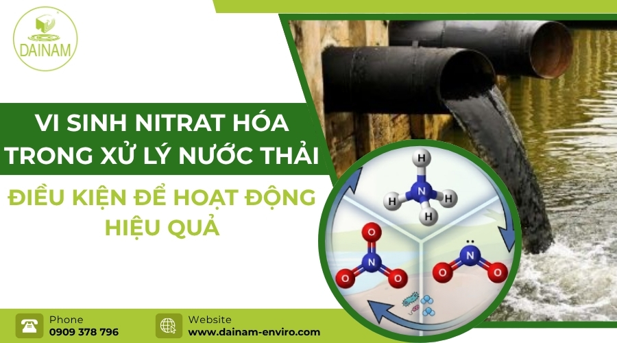 Nitrifying Microorganisms in Wastewater Treatment: Conditions for Effective Operation