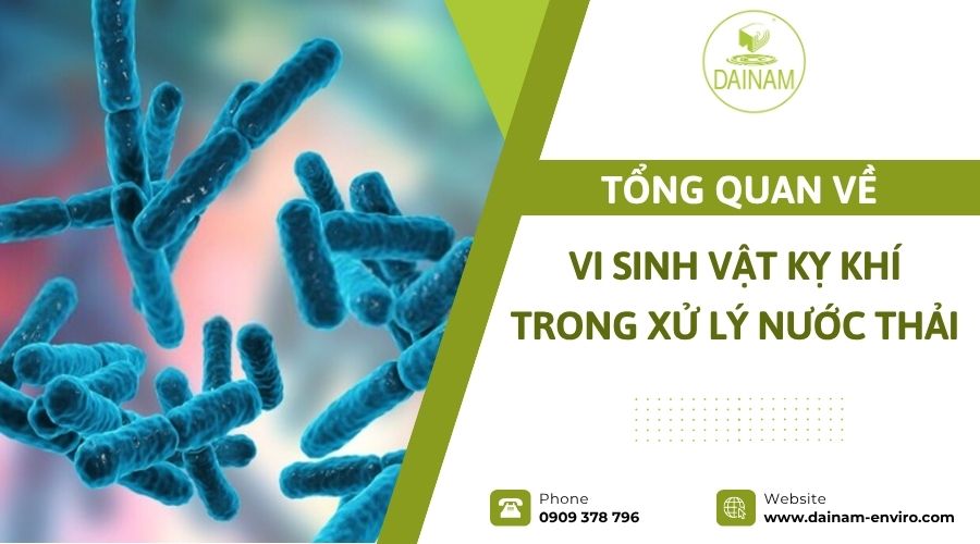 Overview of Anaerobic Microorganisms in Wastewater Treatment