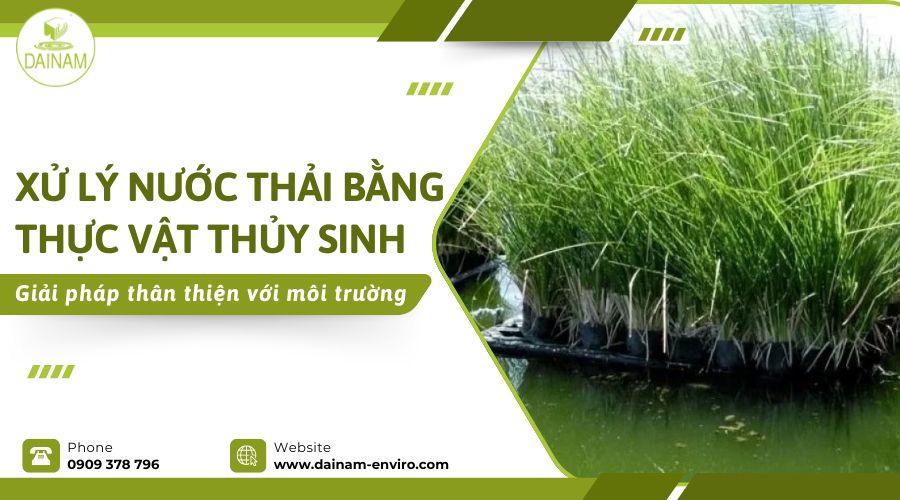 TREATMENT OF WASTEWATER USING AQUATIC PLANTS – AN ENVIRONMENTALLY FRIENDLY SOLUTION