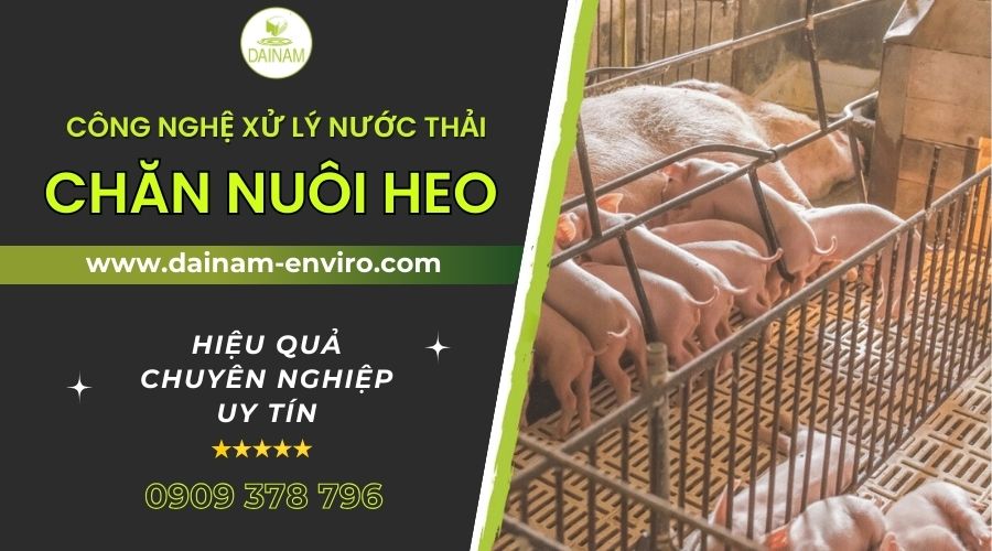 Công Nghệ Xử Lý Nước Thải Chăn Nuôi Heo