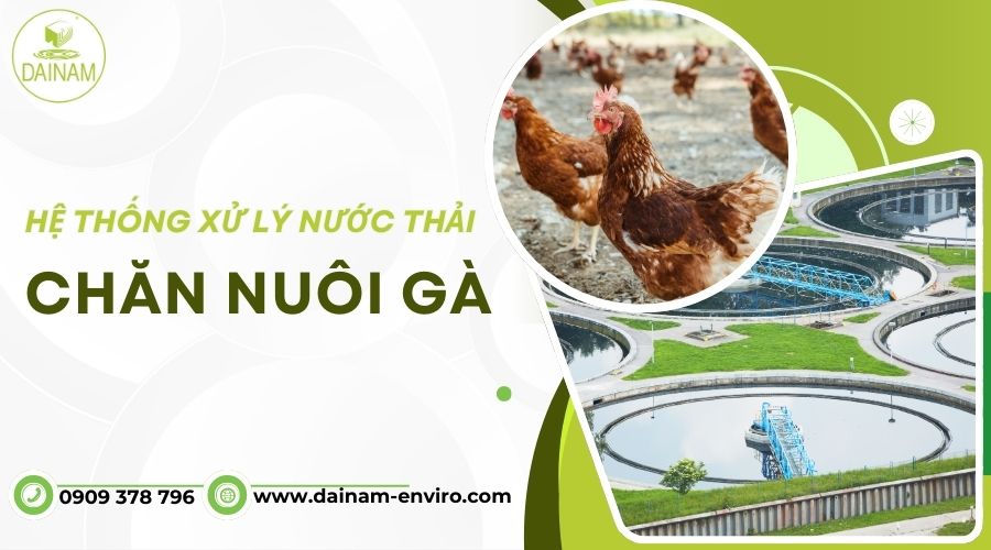 Hệ Thống Xử Lý Nước Thải Chăn Nuôi Gà