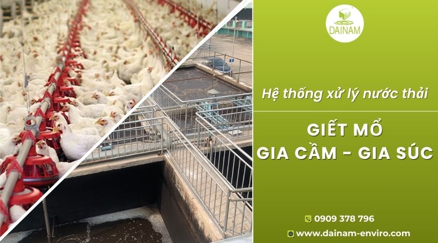 Xử Lý Nước Thải Giết Mổ Gia Cầm - Gia Súc