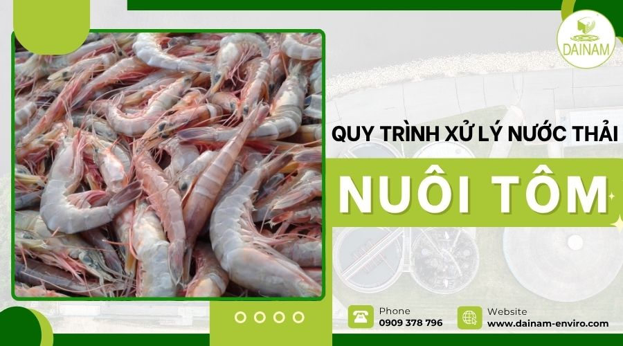 Quy Trình Xử Lý Nước Thải Nuôi Tôm